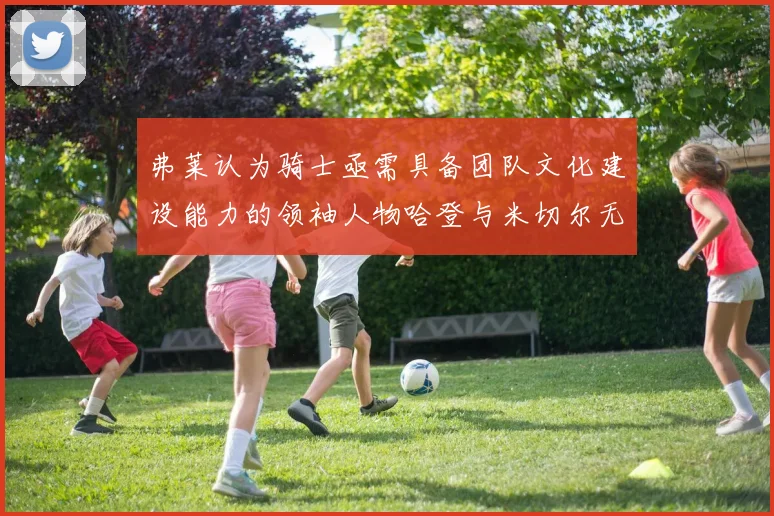弗莱认为骑士亟需具备团队文化建设能力的领袖人物哈登与米切尔无法胜任